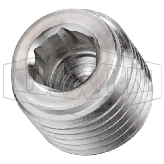 2190400SS - Hex Socket Plug SS