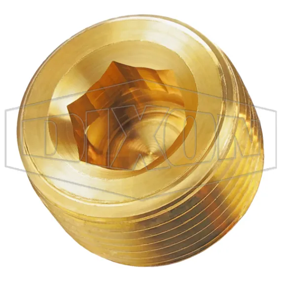 2191600C - Brass Hex Socket Plug