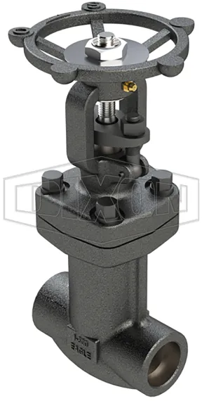G8CSW050 - G8 Series Forged Bellows Seal Globe Valve