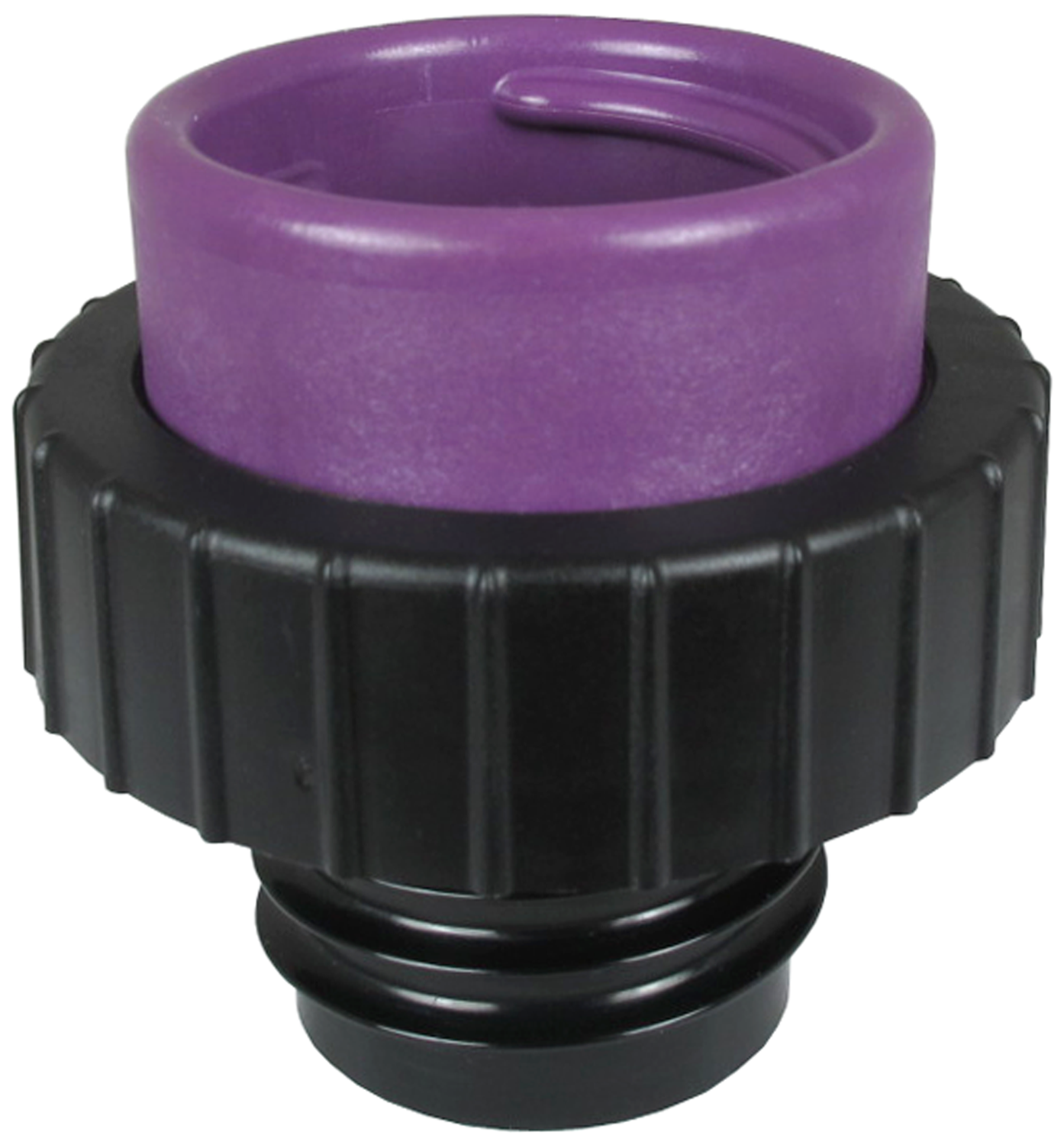 31463 - Image 6