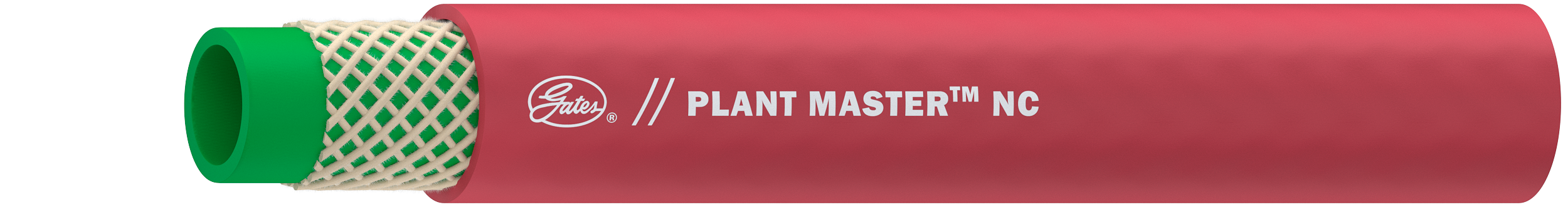 1/2X500 PLANT 300 NC