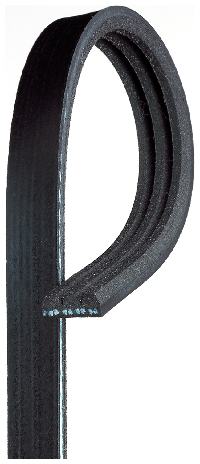 K060281SF - Image 2