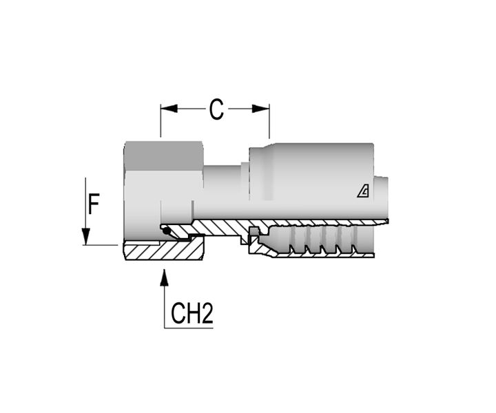 D-0606-FBPO