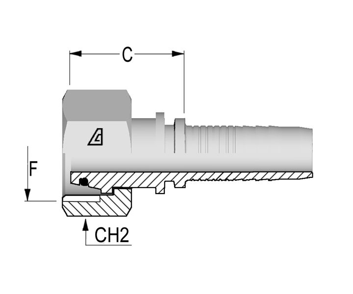 A-0616-FMOL
