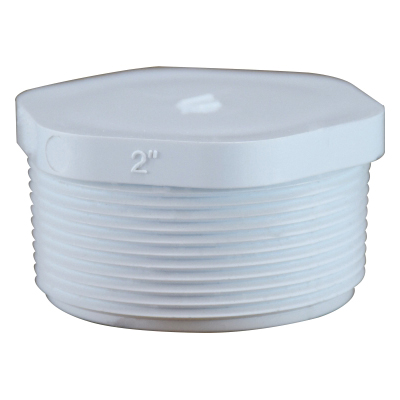 2 SCH 40 PVC THREADED PLUG