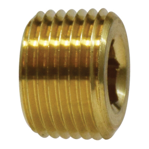 1 COUNTERSUNK PLUG