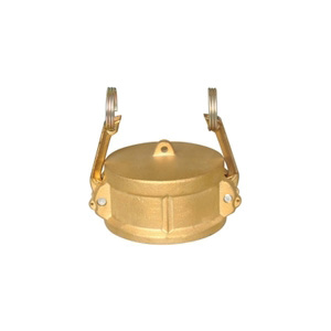 1 DUST CAP BRASS