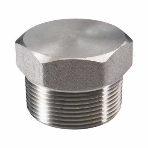 2" 304SS Hex Head Plug 3000#