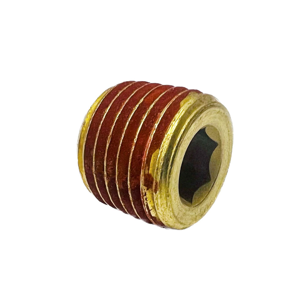 1/4 BRASS C/S HEX PLUG- VIBRASEAL