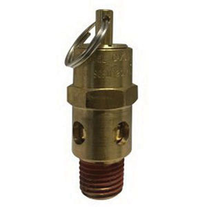 1/4 NPT 125 PSI ASME Coded Safety Valve