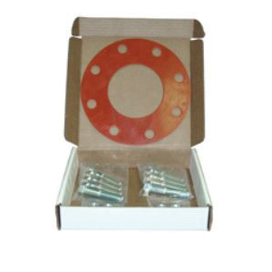 10 BOLT & GASKET SET W/304 SS BOLTS/NUTS