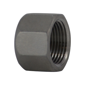 1 316 STAINLESS STEEL HEX CAP
