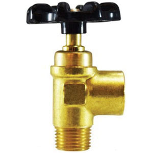 1/2 X 1/2 FIP X MIP TRUCK VALVE
