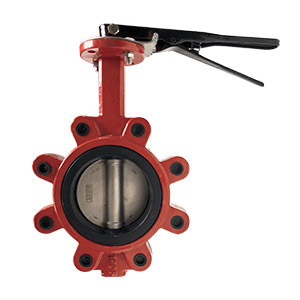 10 DI BFV LUG/LVR SS DISC/EPDM