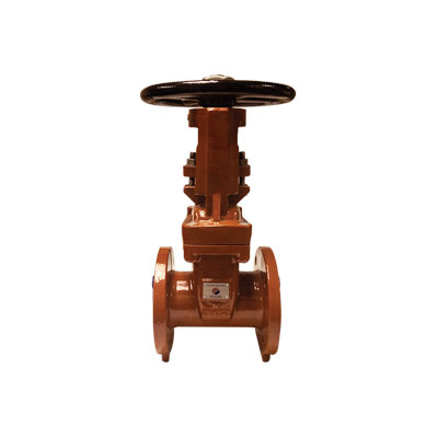 10 DI FL X FL Gate Valve OS&Y AWWA C515
