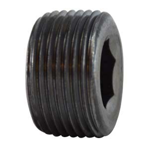 1/2 FLUSH CS HEX PLUG