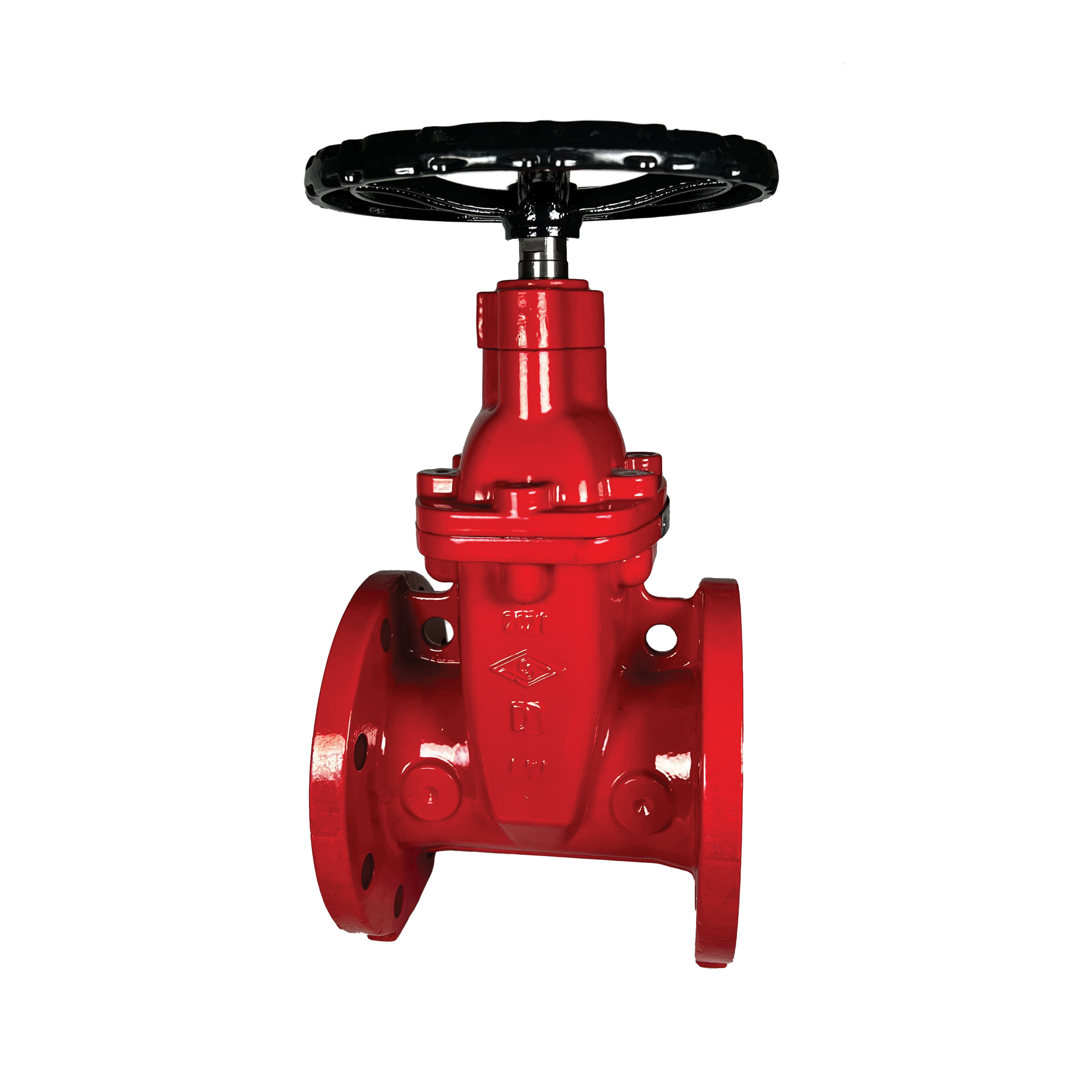 10 DI, FL X FL GATE VALVE, NRS WITH BUNA