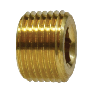 1/4 BSPT AL/CS PLUG