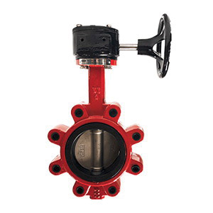 3 DI BFV LUG/GEAR SS DISC/EPDM