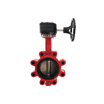 10 DI BFV LUG/GEAR SS DISC/EPDM