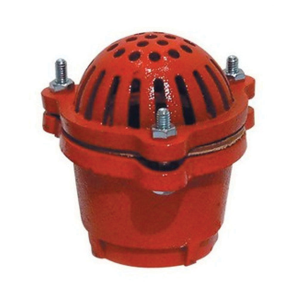 2 FOOT VALVE